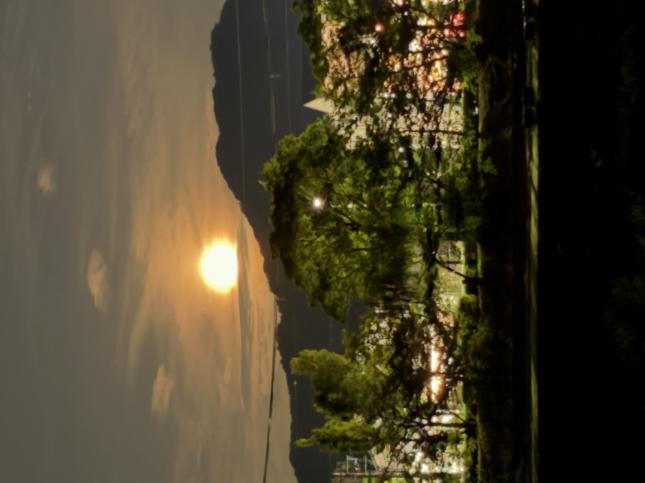 院内研修いろいろ