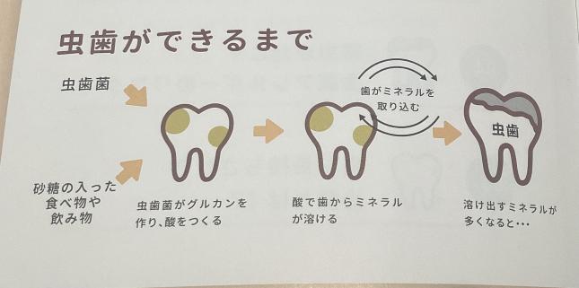 歯磨きはぜひ鏡を持って