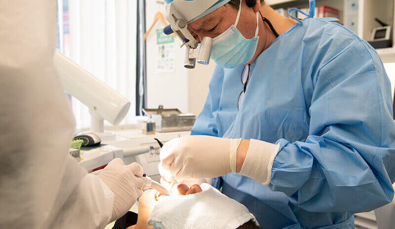 他院からの多くの紹介、専門医による義歯やインプラントのハイレベル治療