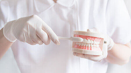 虫歯予防・定期検診について